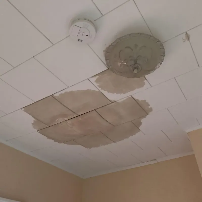 Ceiling Water Damage Repair in Hampstead, NC